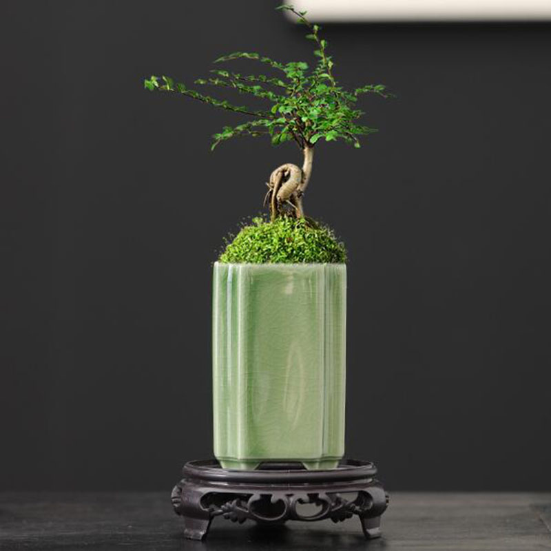 3D Printing Pot - Porcellana quadrata Celadon smaltata orchidea vaso