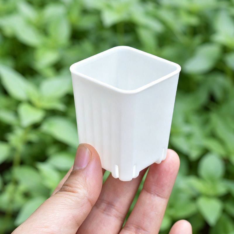 50-100 Pezzi Vaso Quadrato Min - 3D Printing Pot recensione e prezzo
