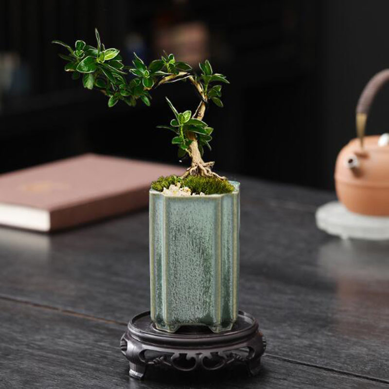 Porcellana quadrata Celadon sm - 3D Printing Pot recensione e prezzo